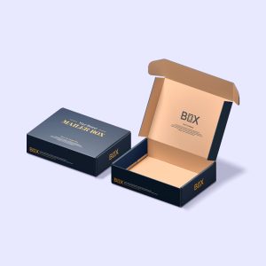 Ecommerce Mailer Boxes
